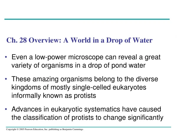 Ch. 28 Overview: A World in a Drop of Water