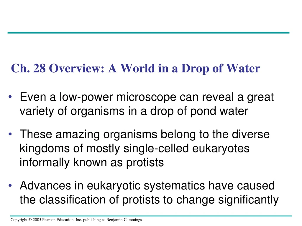 ch 28 overview a world in a drop of water