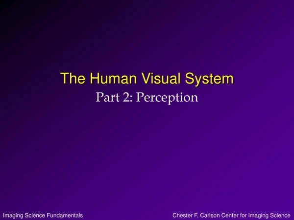 The Human Visual System