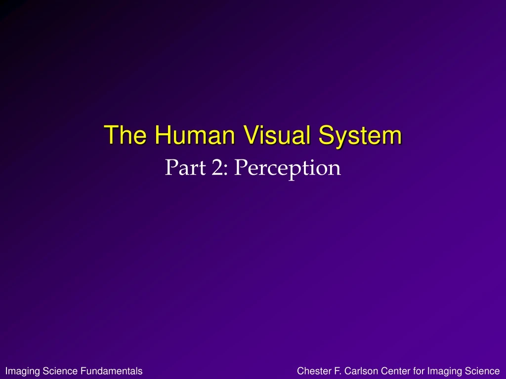 the human visual system