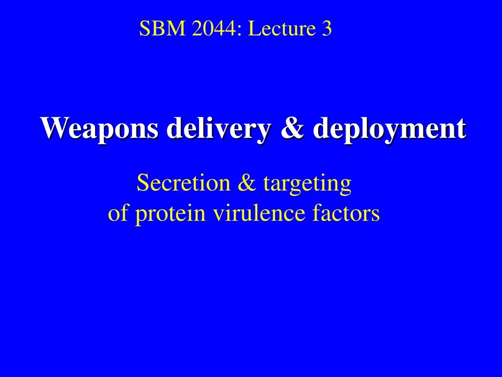 sbm 2044 lecture 3