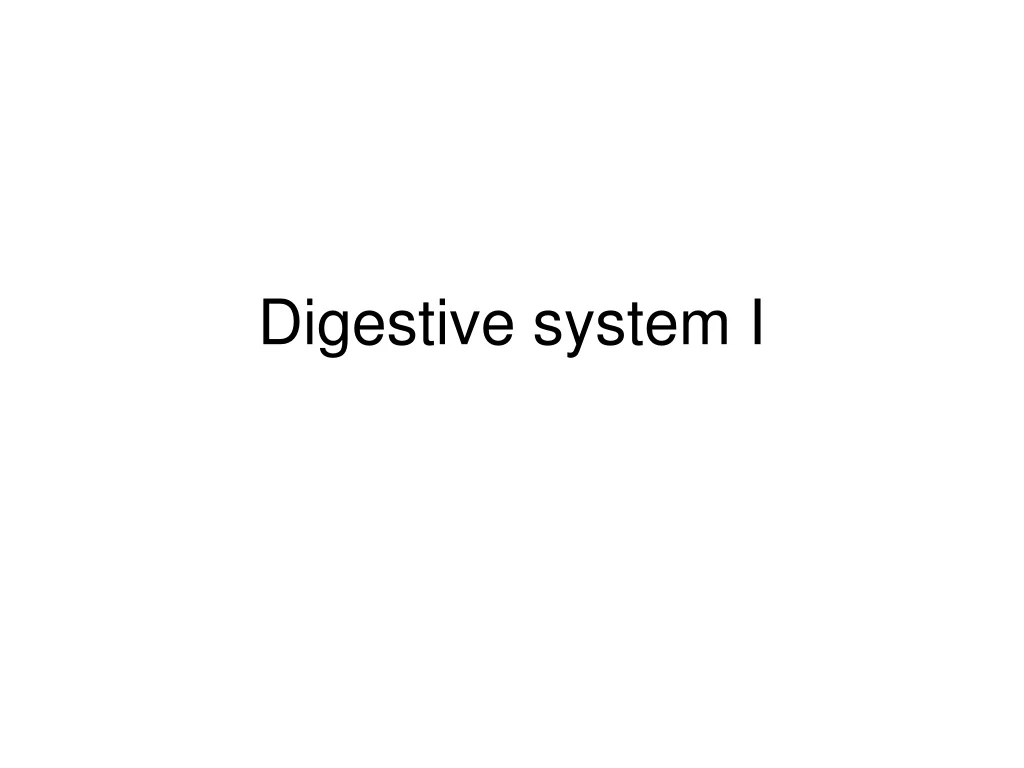 digestive system i