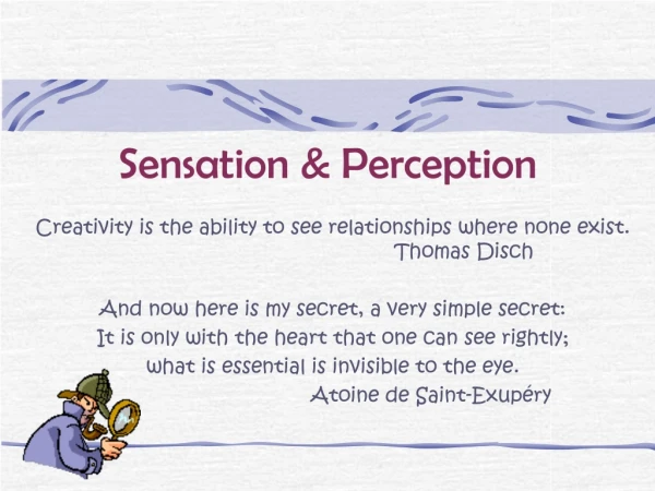 Sensation &amp; Perception