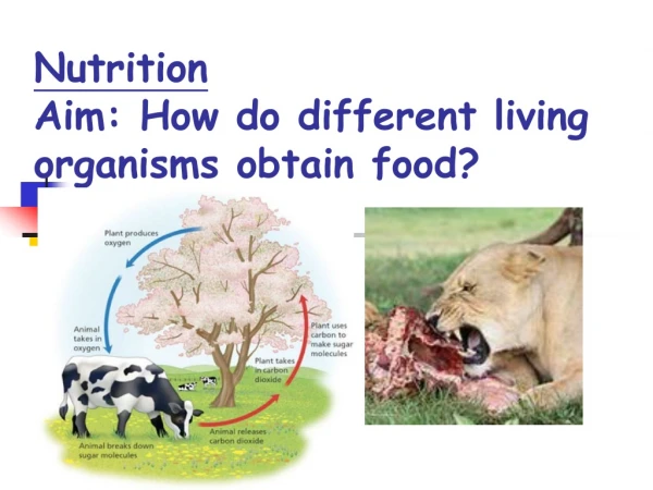 Nutrition Aim: How do different living organisms obtain food?