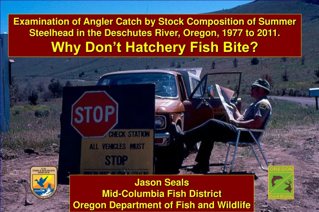 examination of angler catch by stock composition