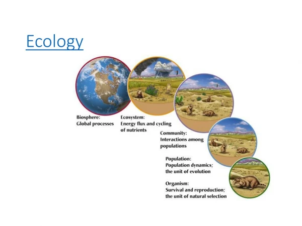 Ecology