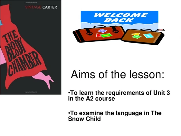 Aims of the lesson: