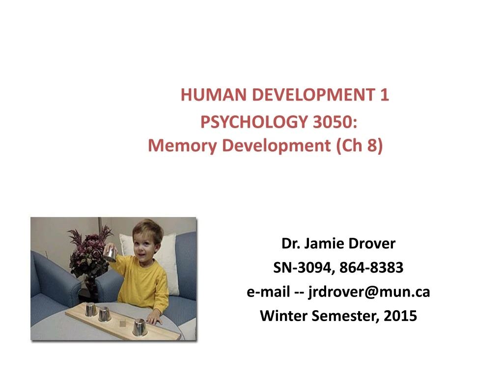 human development 1 psychology 3050 memory