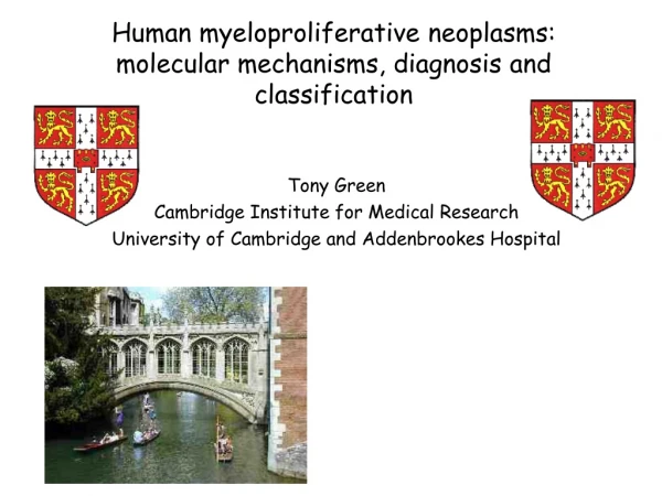 Human myeloproliferative neoplasms: molecular mechanisms, diagnosis and classification