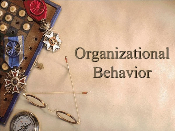 Organizational Behavior