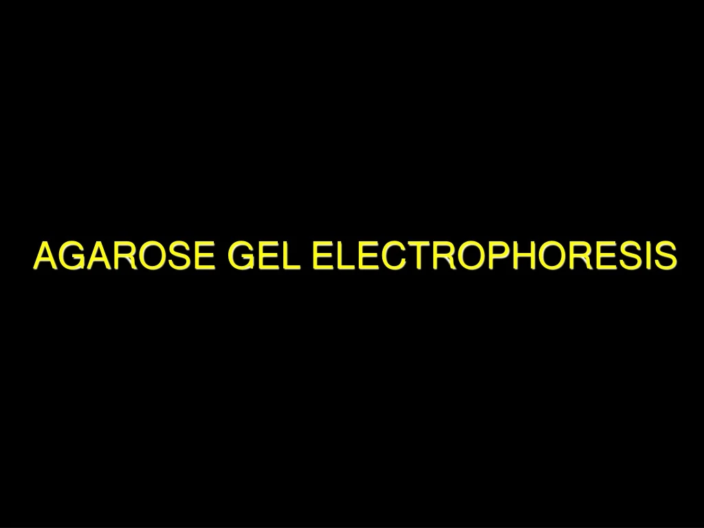 agarose gel electrophoresis