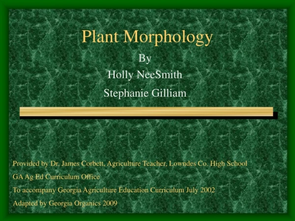 Plant Morphology