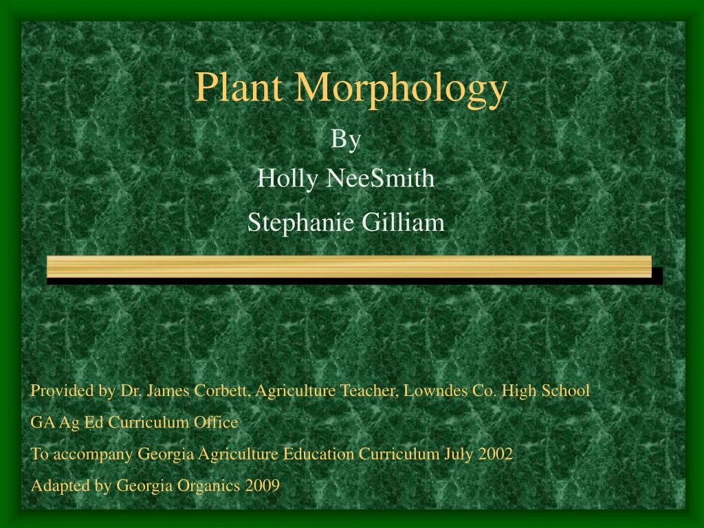 plant morphology