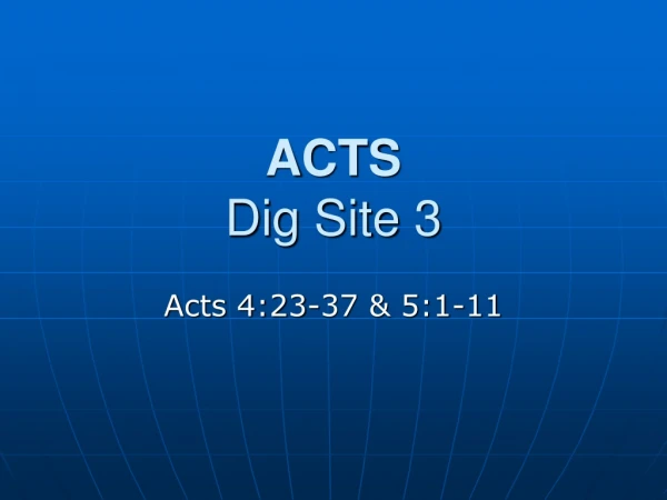 ACTS Dig Site 3