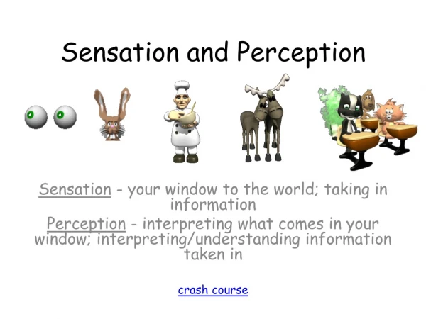 Sensation and Perception