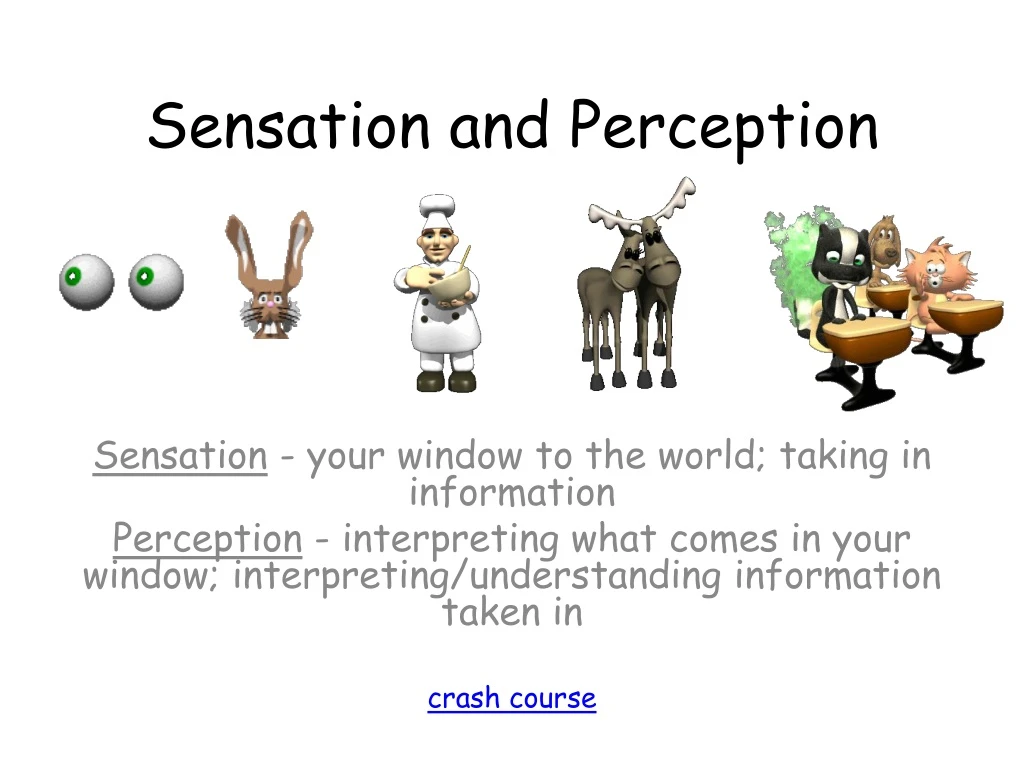 sensation and perception