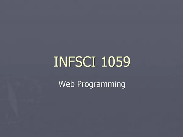 INFSCI 1059