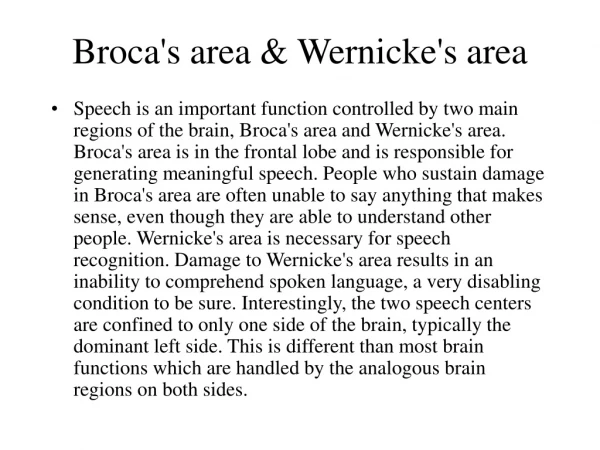 Broca's area &amp; Wernicke's area