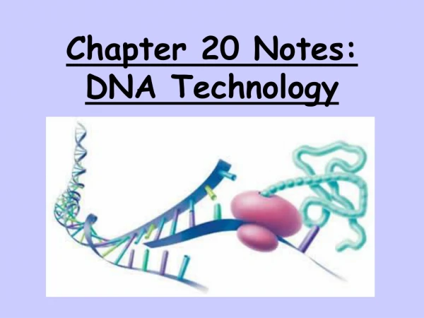 Chapter 20 Notes:  DNA Technology