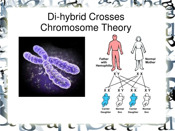 Di-hybrid Crosses Chromosome Theory