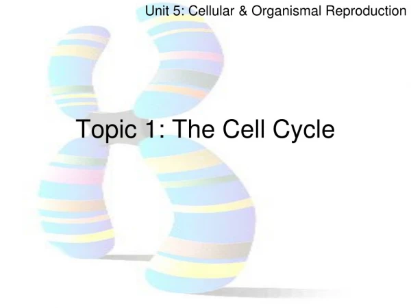 Topic 1: The Cell Cycle