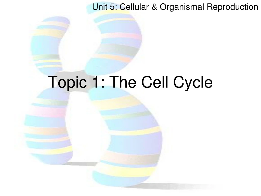 topic 1 the cell cycle