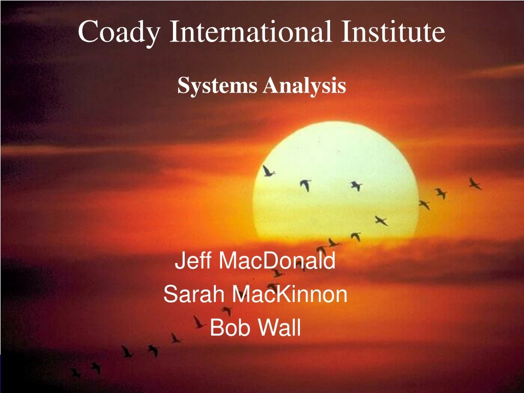 coady international institute systems analysis