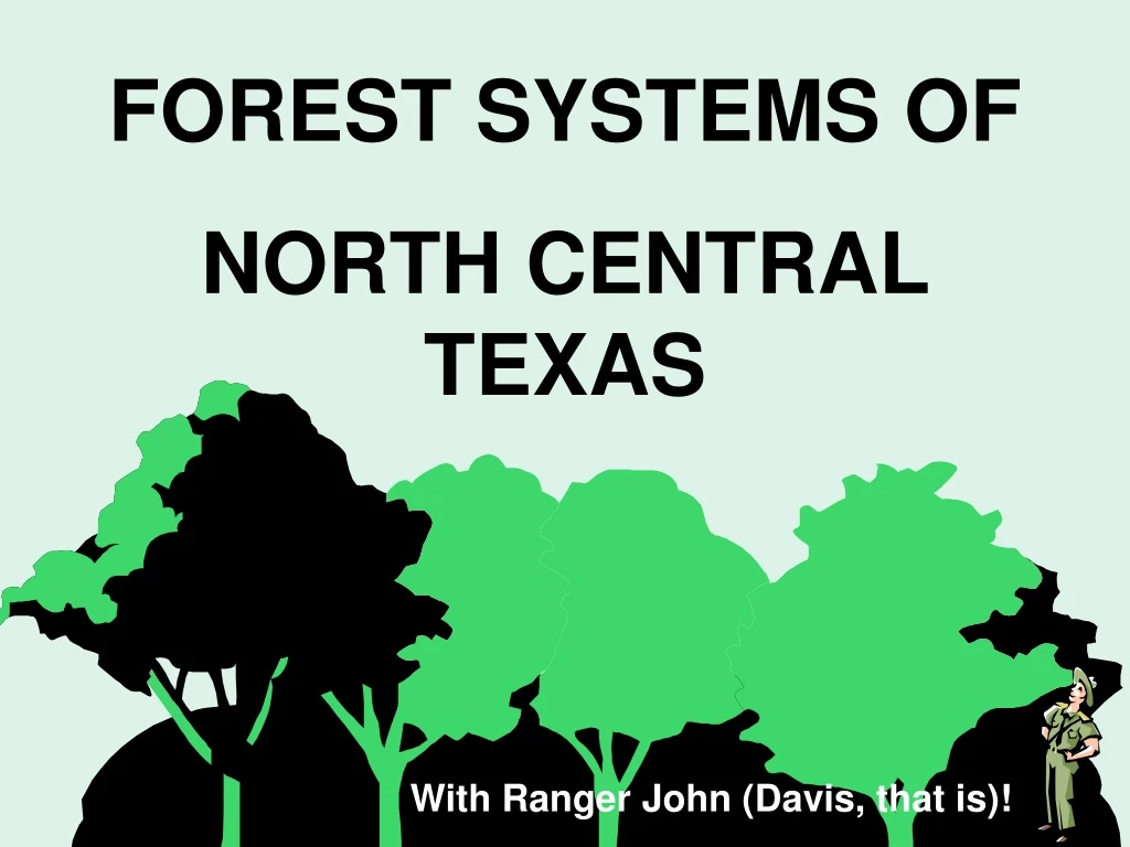 forest systems of north central texas