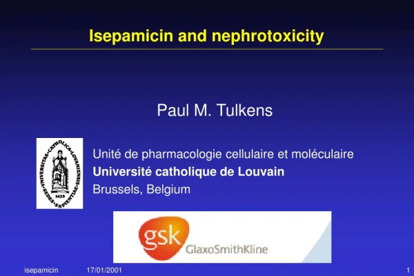 Isepamicin and nephrotoxicity