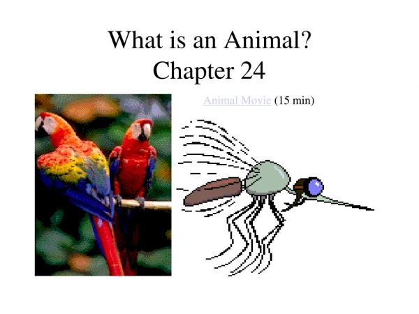 What is an Animal? Chapter 24
