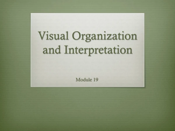 Visual Organization  and Interpretation