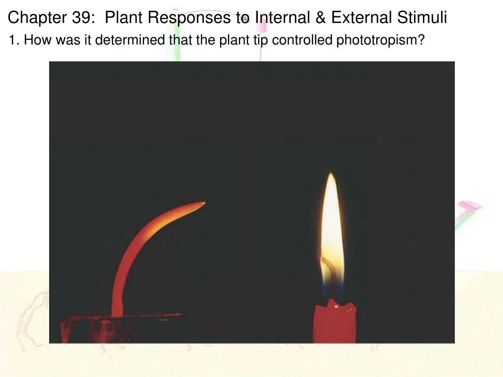 chapter 39 plant responses to internal external