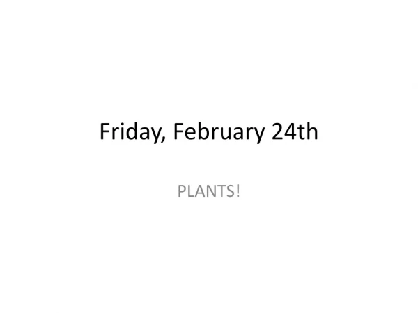 Friday, February 24th