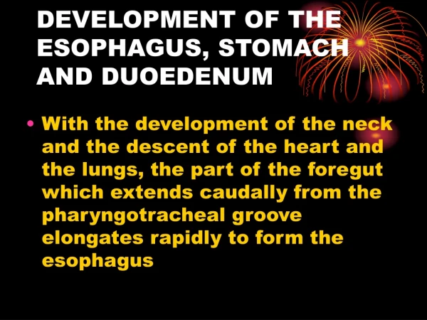 DEVELOPMENT OF THE ESOPHAGUS, STOMACH AND DUOEDENUM