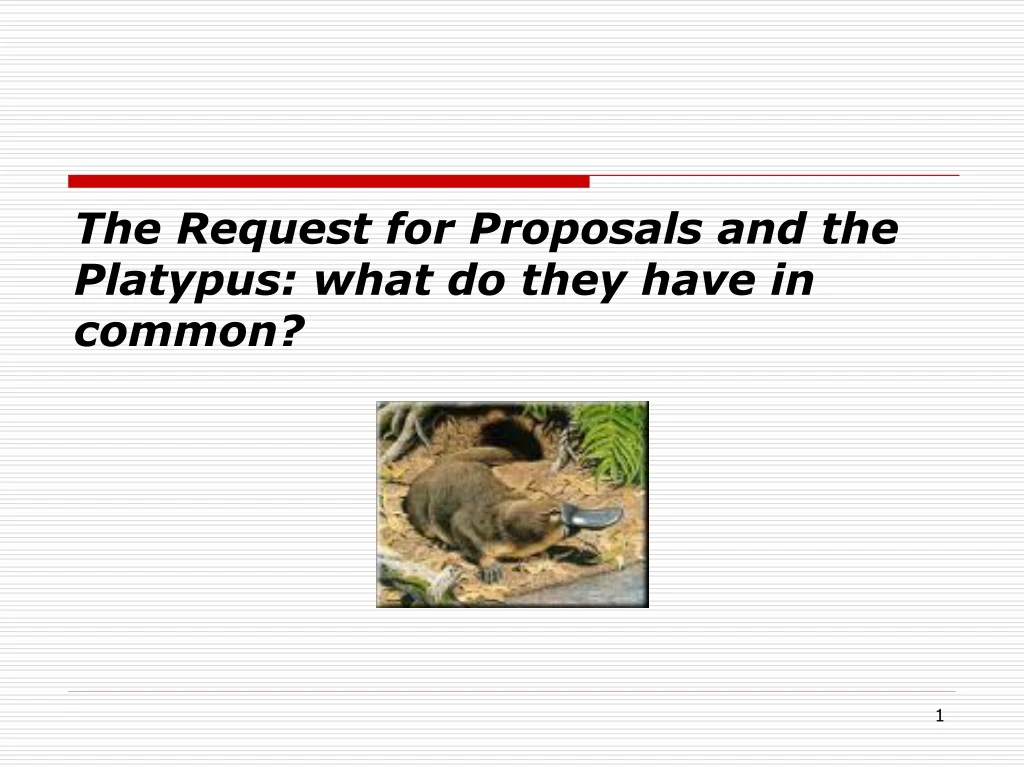 the request for proposals and the platypus what