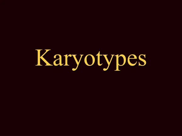 Karyotypes