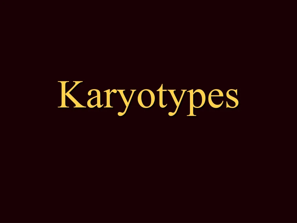 karyotypes