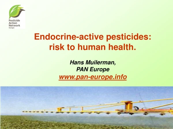 Endocrine-active pesticides:  risk to human health. Hans Muilerman, PAN Europe pan-europe