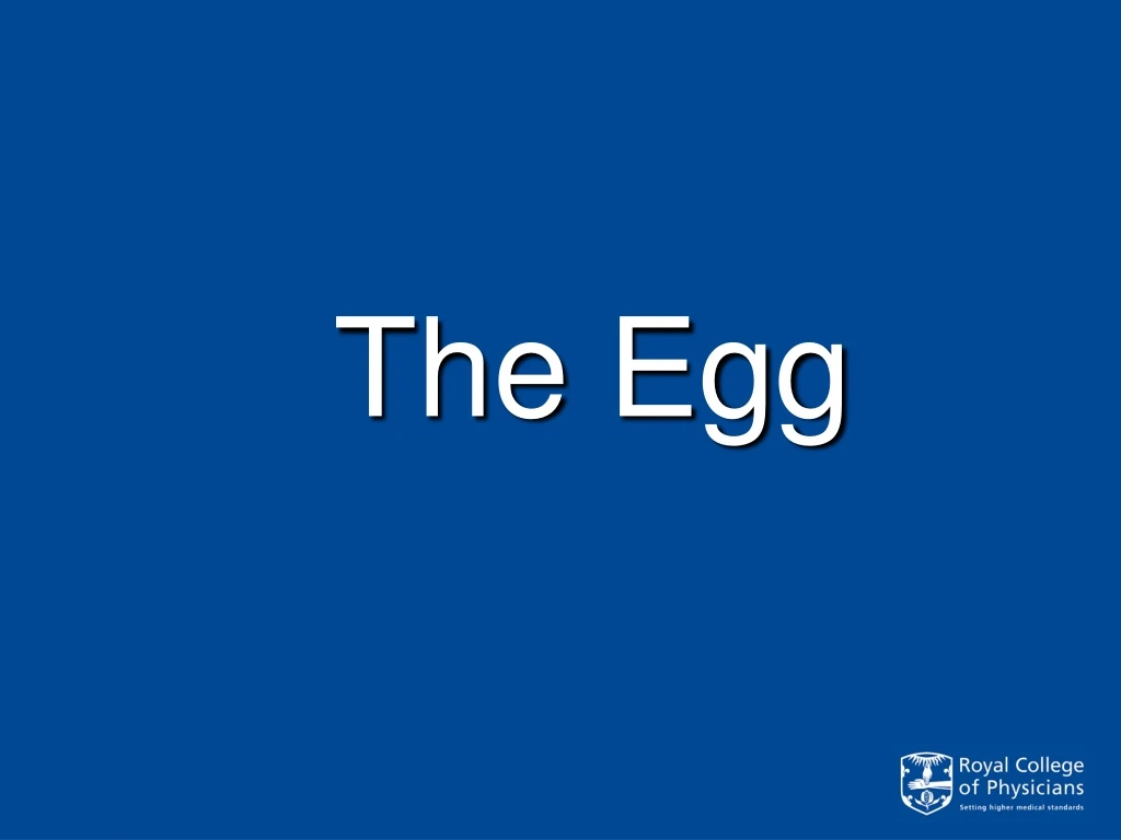 the egg