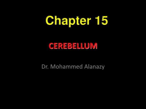 CEREBELLUM