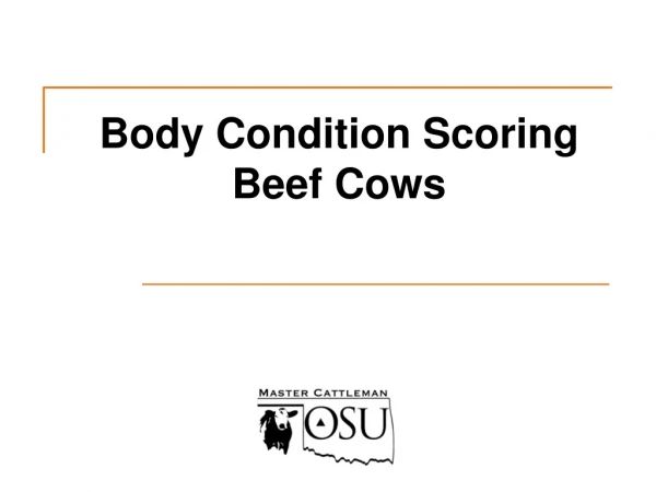 Body Condition Scoring Beef Cows
