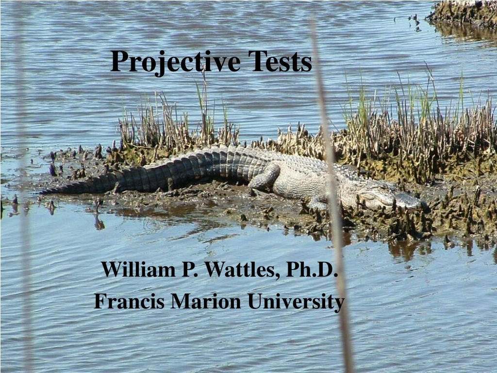 projective tests