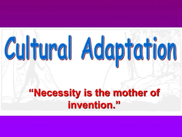 Cultural Adaptation