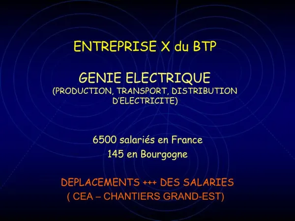 ENTREPRISE X du BTP GENIE ELECTRIQUE PRODUCTION, TRANSPORT, DISTRIBUTION D ELECTRICITE