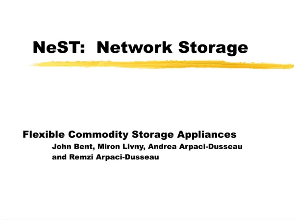 NeST:  Network Storage