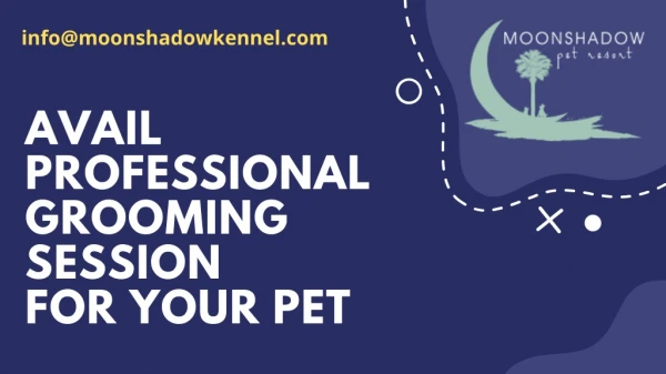AVAIL PROFESSIONAL GROOMING SESSION FOR YOUR PET