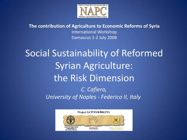 Social Sustainability of Reformed Syrian Agriculture:  the  Risk  Dimension