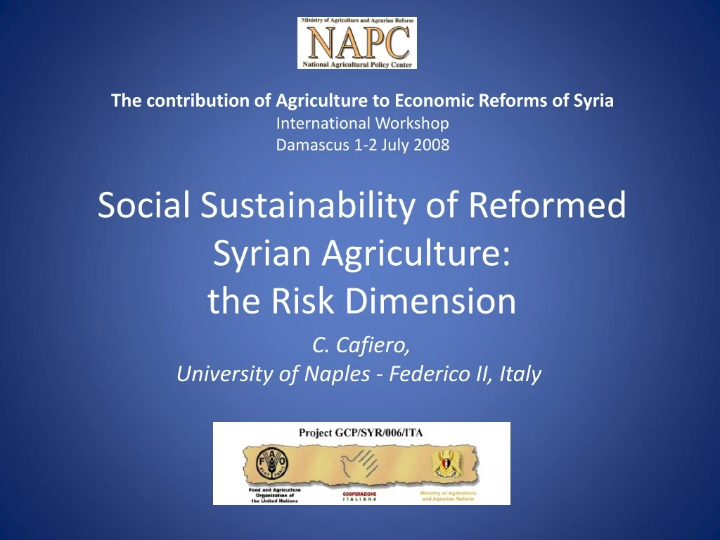 social sustainability of reformed syrian agriculture the risk dimension