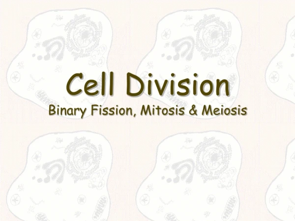 Cell Division Binary Fission, Mitosis &amp; Meiosis