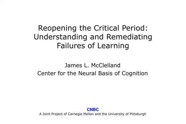 Reopening the Critical Period: Understanding and Remediating Failures of Learning